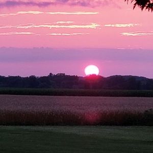 Meet your Posher, Kerrie